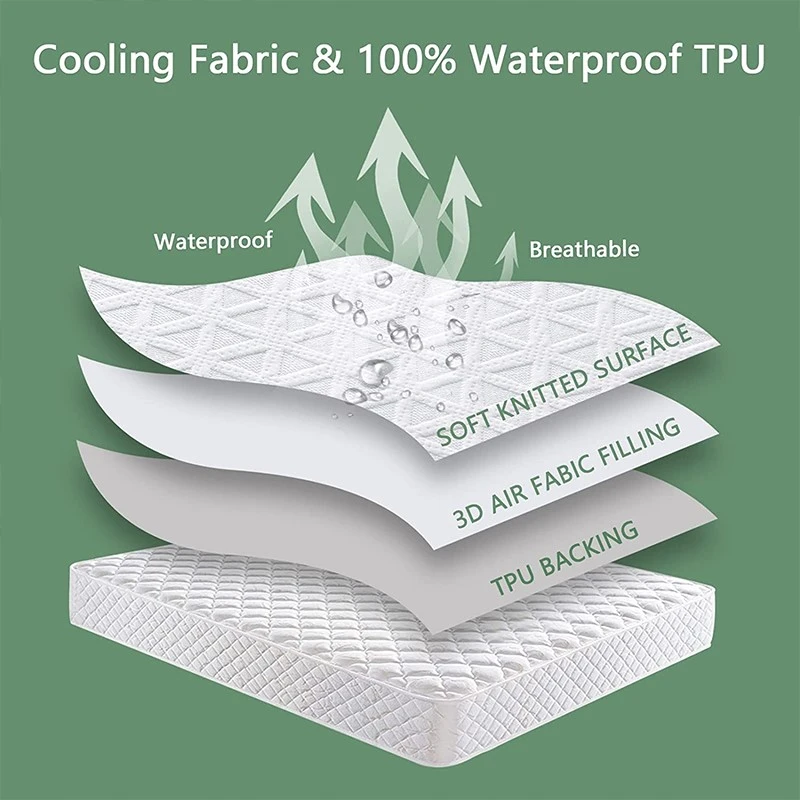 product-800-800 product-800-800