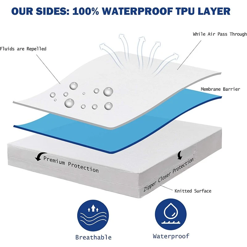 product-800-800 product-800-800